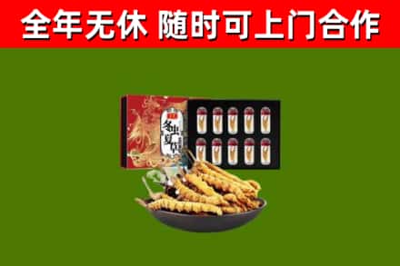 绥中回收冬虫夏草价格